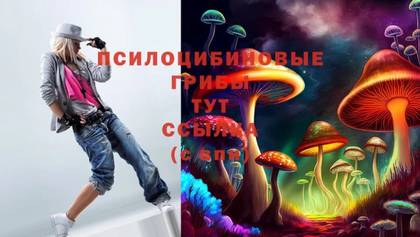 стафф Кукмор